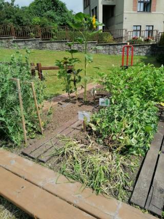 IMG-20210723-WA0001.jpg