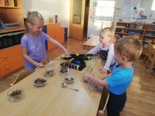 IMG_20221011_073707.jpg