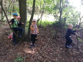 IMG_20220901_104937.jpg
